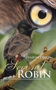 Cover von Second Robin