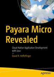 Cover von Payara Micro Revealed