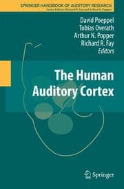 Cover von The Human Auditory Cortex