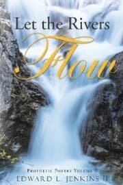 Cover von Let the Rivers Flow