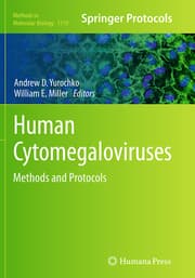 Cover von Human Cytomegaloviruses