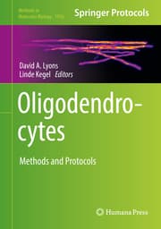 Cover von Oligodendrocytes
