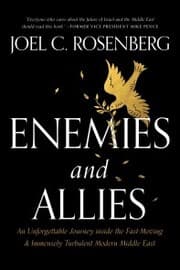 Cover von Enemies and Allies