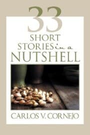 Cover von 33 Short Stories in a Nutshell
