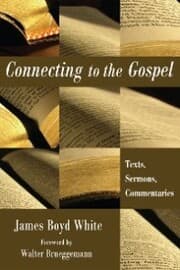 Cover von Connecting to the Gospel