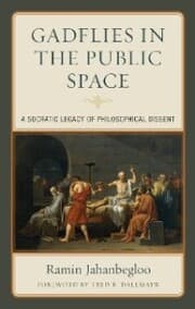 Cover von Gadflies in the Public Space