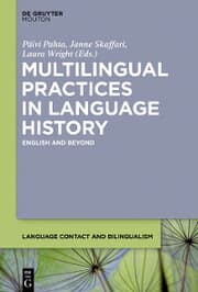 Cover von Multilingual Practices in Language History