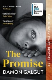 Cover von The Promise