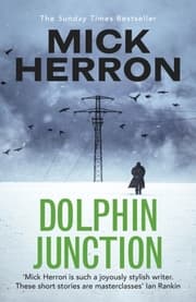Cover von Dolphin Junction