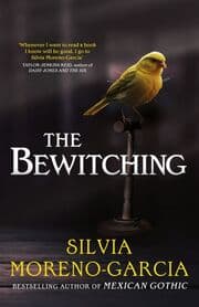 Cover von The Bewitching