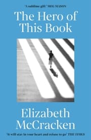 Cover von The Hero of this Book