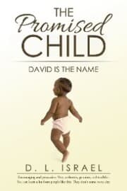 Cover von The Promised Child