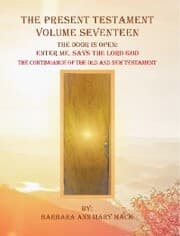 Cover von The Present Testament Volume Seventeen