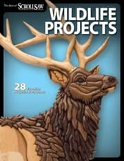 Cover von Wildlife Projects