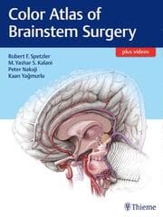 Cover von Color Atlas of Brainstem Surgery