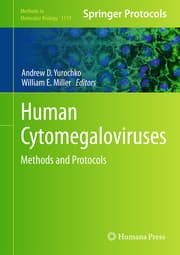 Cover von Human Cytomegaloviruses