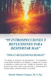 Cover von '99 INTROSPECCIONES Y REFLEXIONES PARA DESPERTAR MAS'