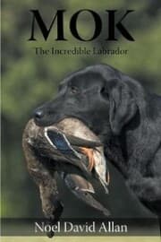 Cover von Mok