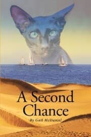 Cover von A Second Chance