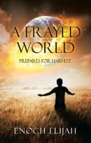 Cover von A Frayed World