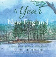 Cover von A Year in New England