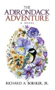 Cover von The Adirondack Adventure