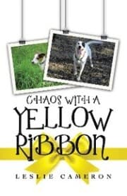 Cover von Chaos with a Yellow Ribbon