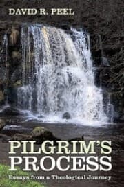 Cover von Pilgrim's Process
