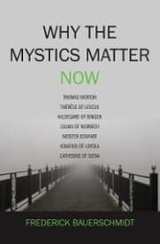 Cover von Why the Mystics Matter Now
