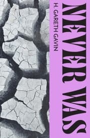 Cover von Never Was