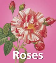 Cover von Roses