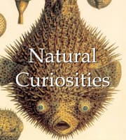 Cover von Natural Curiosities