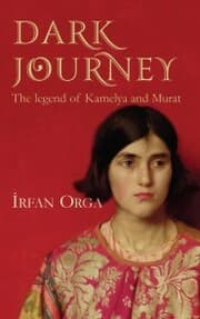 Cover von Dark Journey