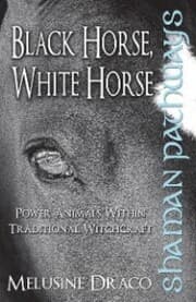 Cover von Shaman Pathways - Black Horse, White Horse