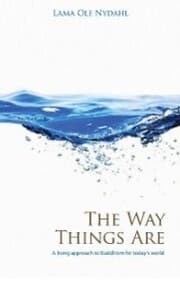Cover von The Way Things Are