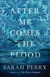 Cover von After Me Comes the Flood
