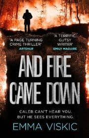 Cover von And Fire Came Down