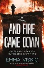 Cover von And Fire Came Down
