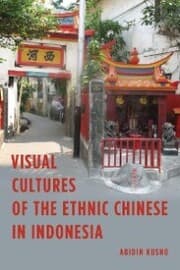 Cover von Visual Cultures of the Ethnic Chinese in Indonesia