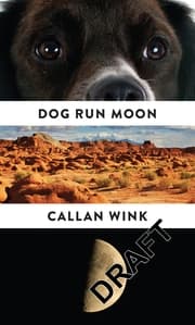 Cover von Dog Run Moon