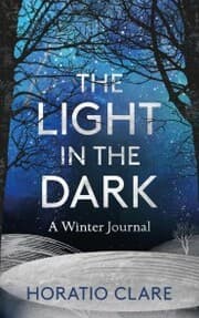 Cover von The Light in the Dark