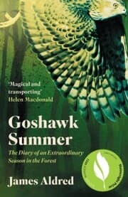 Cover von Goshawk Summer