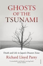 Cover von Ghosts of the Tsunami