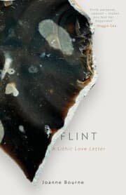 Cover von Flint