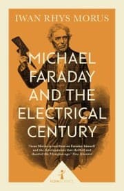 Cover von Michael Faraday and the Electrical Century (Icon Science)