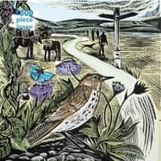 Cover von Puzzle - Angela Harding: Die Allmende