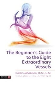 Cover von The Beginner's Guide to the Eight Extraordinary Vessels
