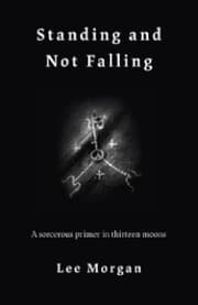 Cover von Standing and Not Falling