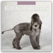 Cover von Bedlington Terrier - Bedlington Terriers 2026 - 16-Monatskalender