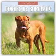 Cover von Dogues de Bordeaux - Bordeauxdoggen - Bordeaux Doggen 2026 - 16-Monatskalender